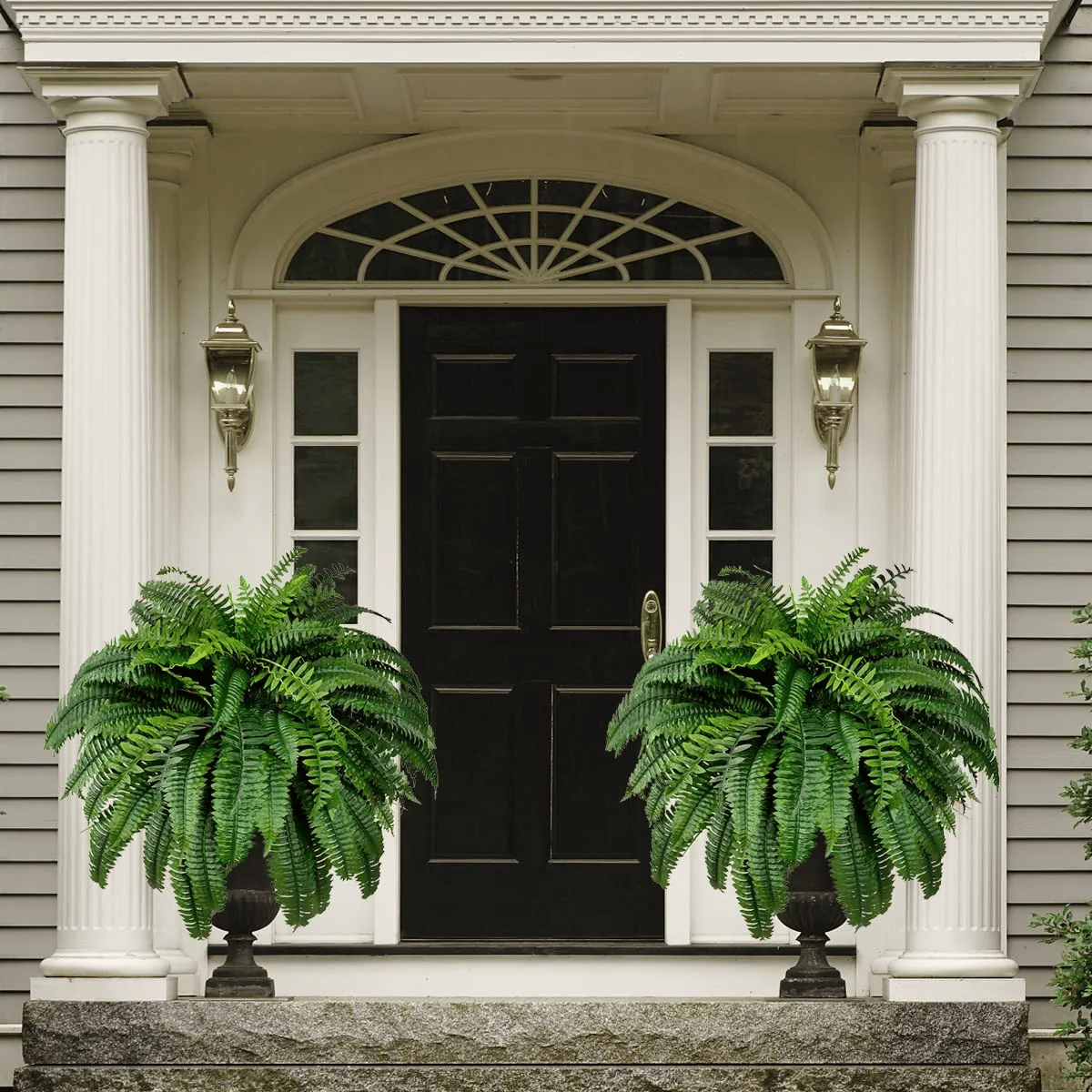 EverLush Fern Decor- 50 % OFF
