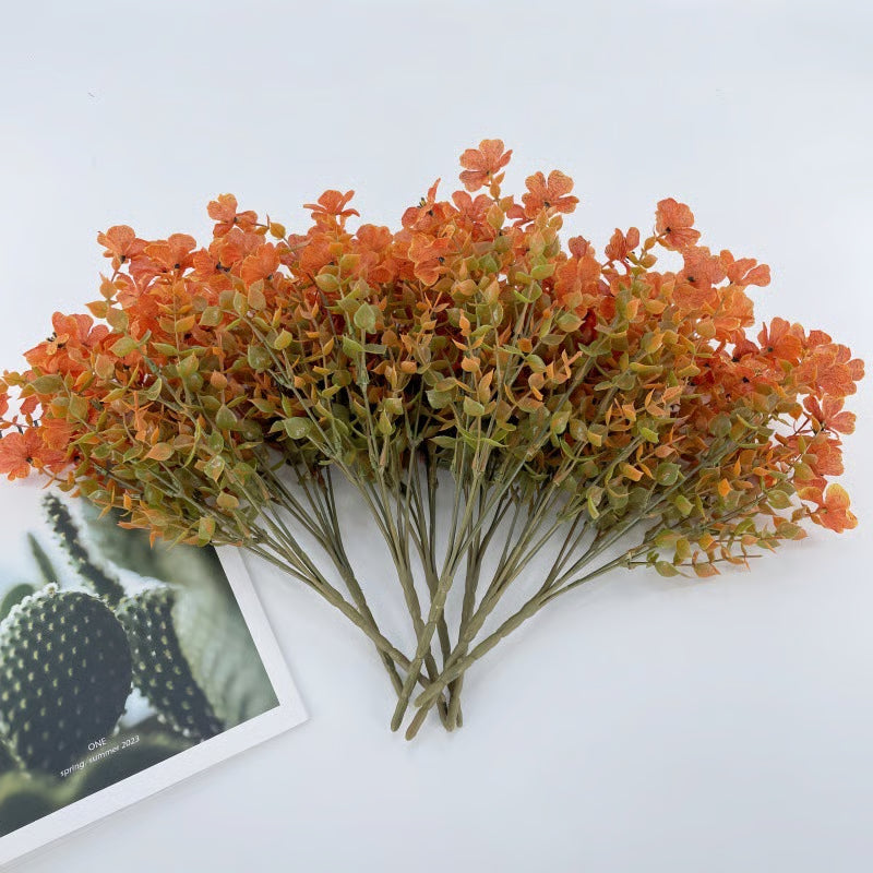 SunsetGlow Outdoor Mums - 1 + 1 FREE