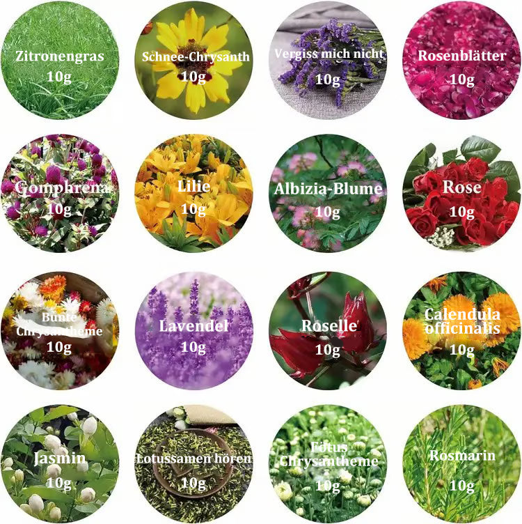 The EternaBloom™ - Keep Memories Alive Forever + 50% OFF