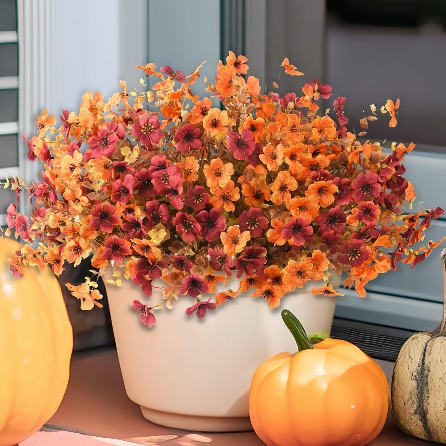 AutumnGlow Mums- 50 % OFF