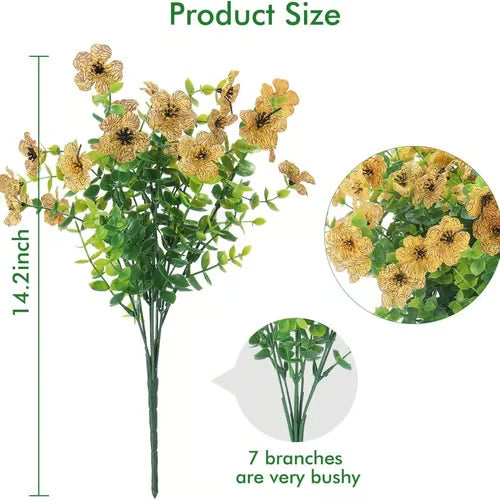 SunsetGlow Outdoor Mums - 1 + 1 FREE