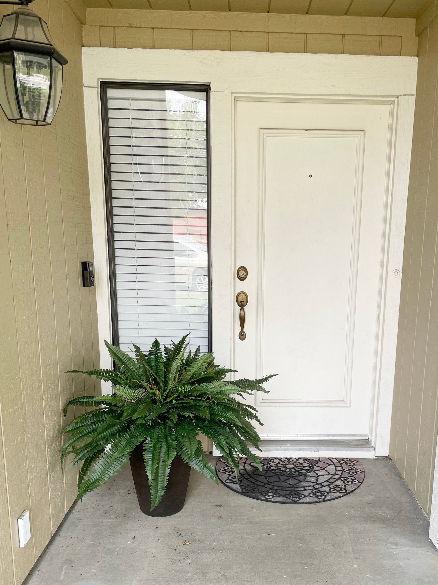 EverLush Fern Decor- 50 % OFF