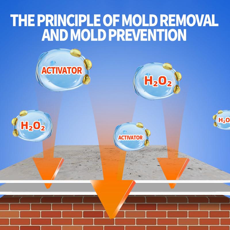 The MoldEraser Pro Spray - A Mold-Free Home, Guaranteed + 50% OFF