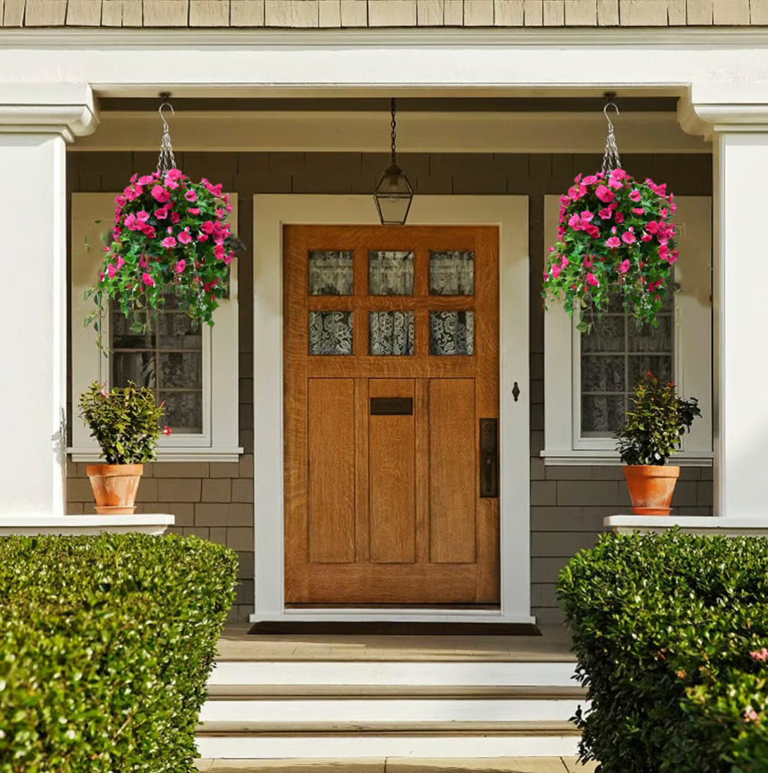 EverBloom Petunias- 50 % OFF