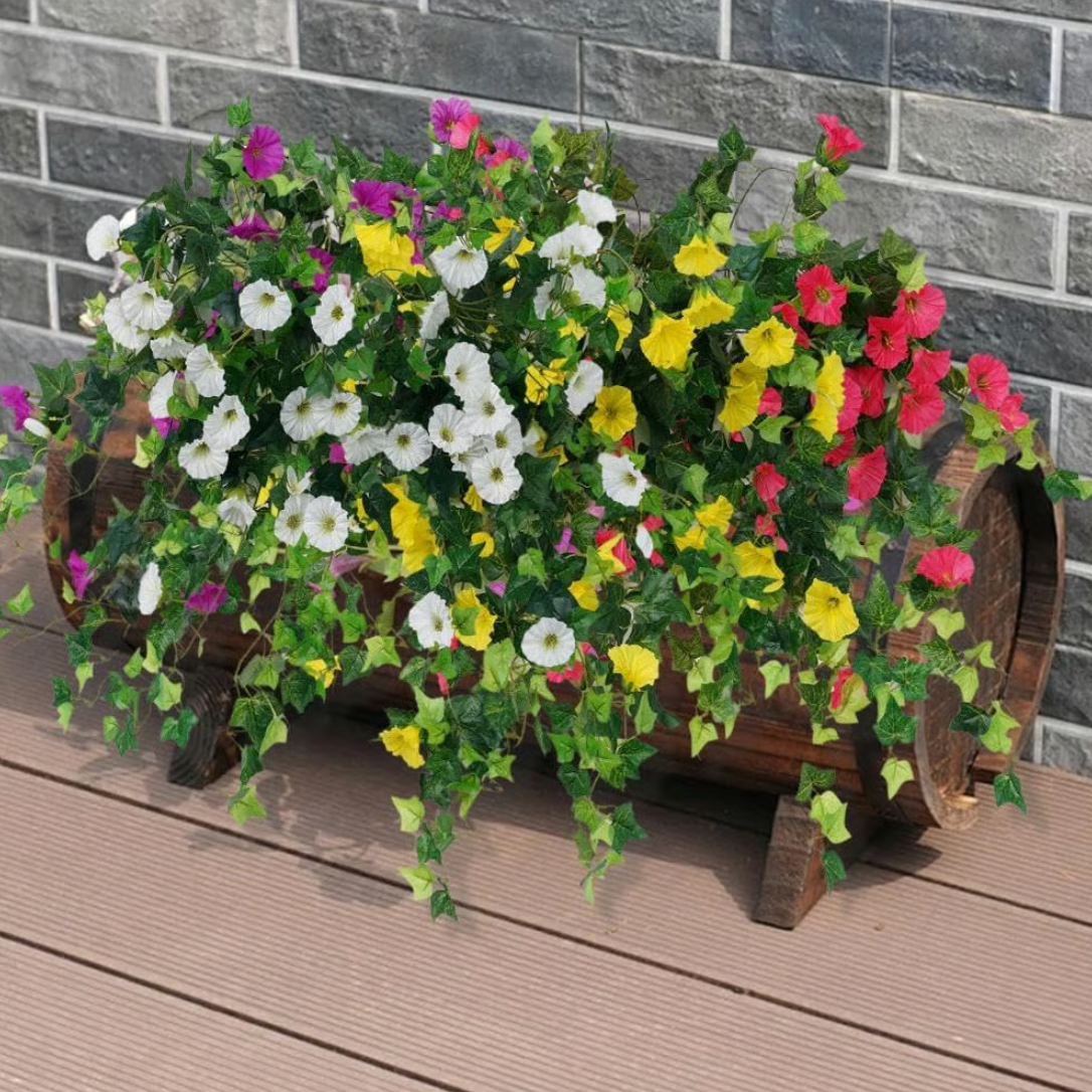 EverBloom Petunias- 50 % OFF