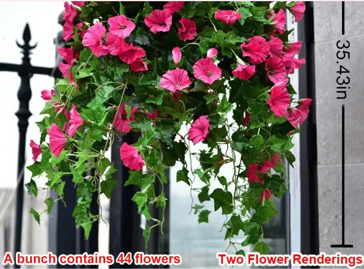 EverBloom Petunias- 50 % OFF
