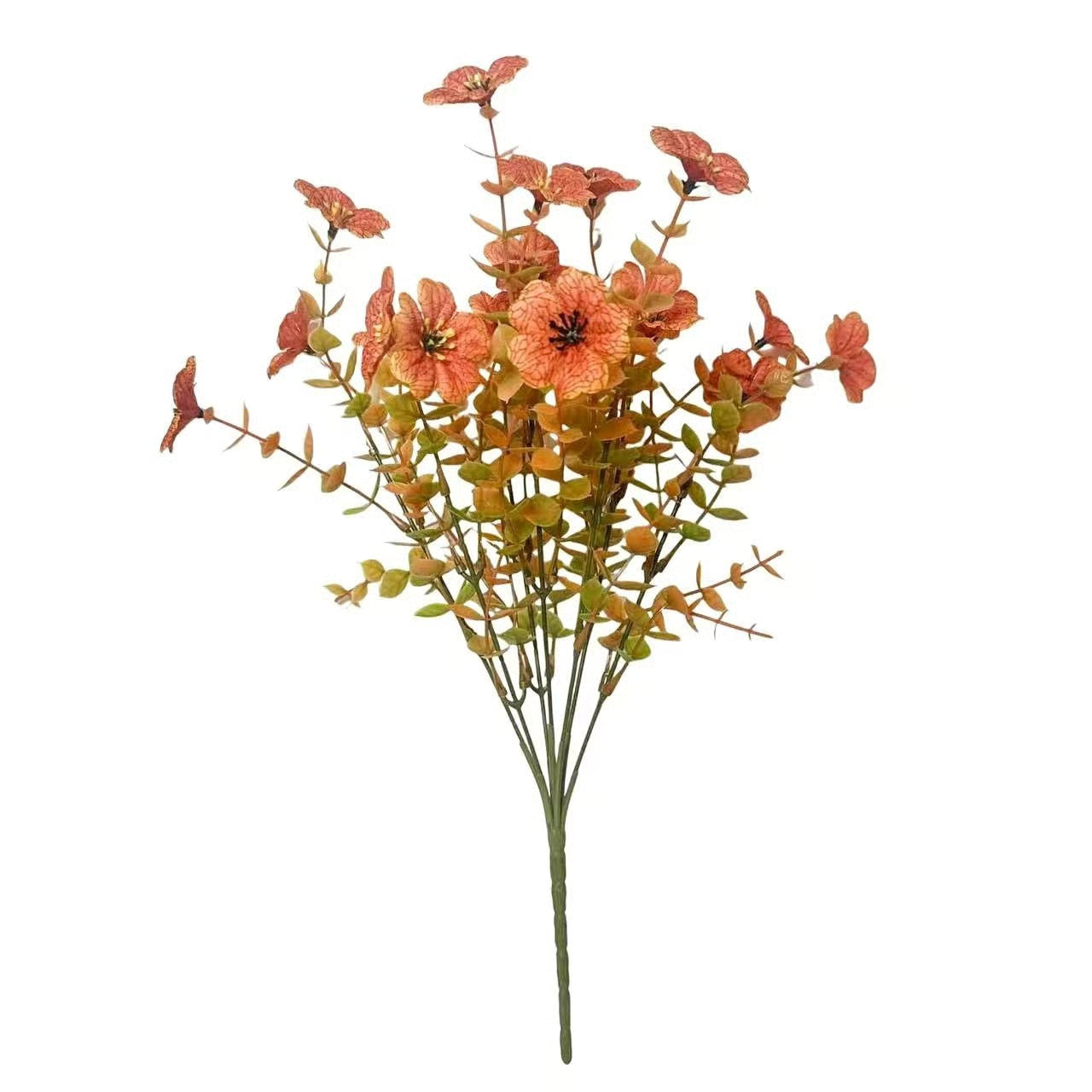 SunsetGlow Outdoor Mums - 1 + 1 FREE