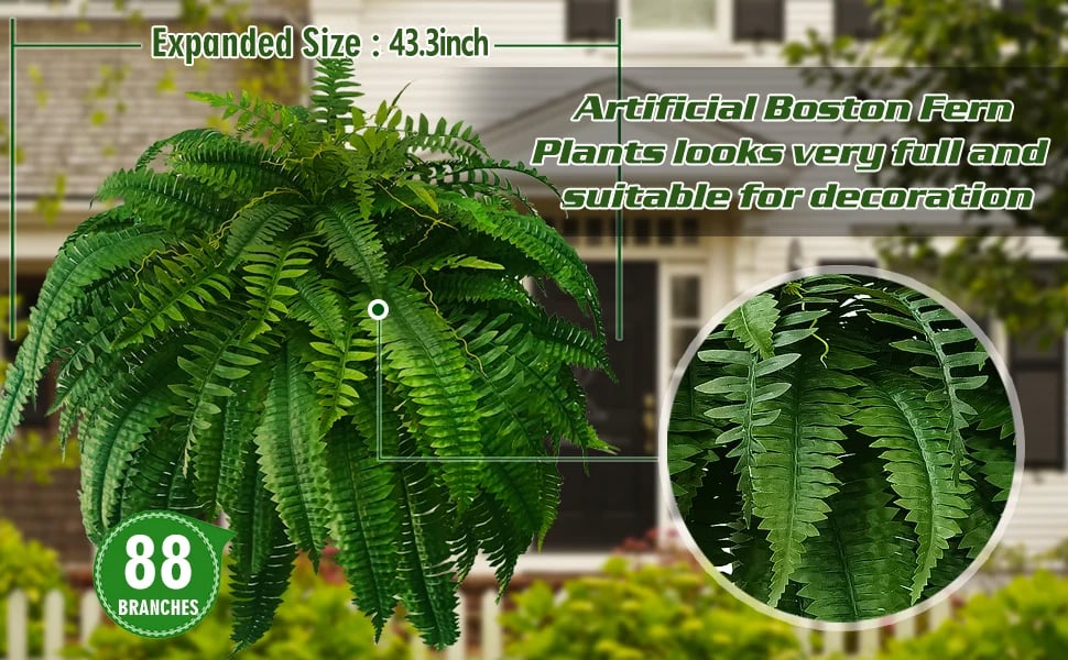 EverLush Fern Decor- 50 % OFF