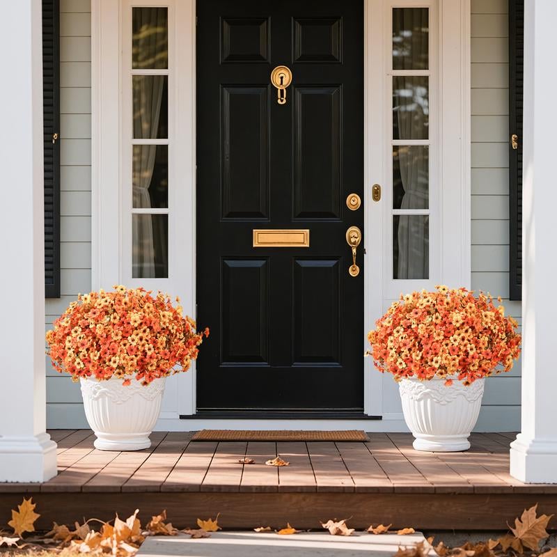 AutumnGlow Mums- 50 % OFF