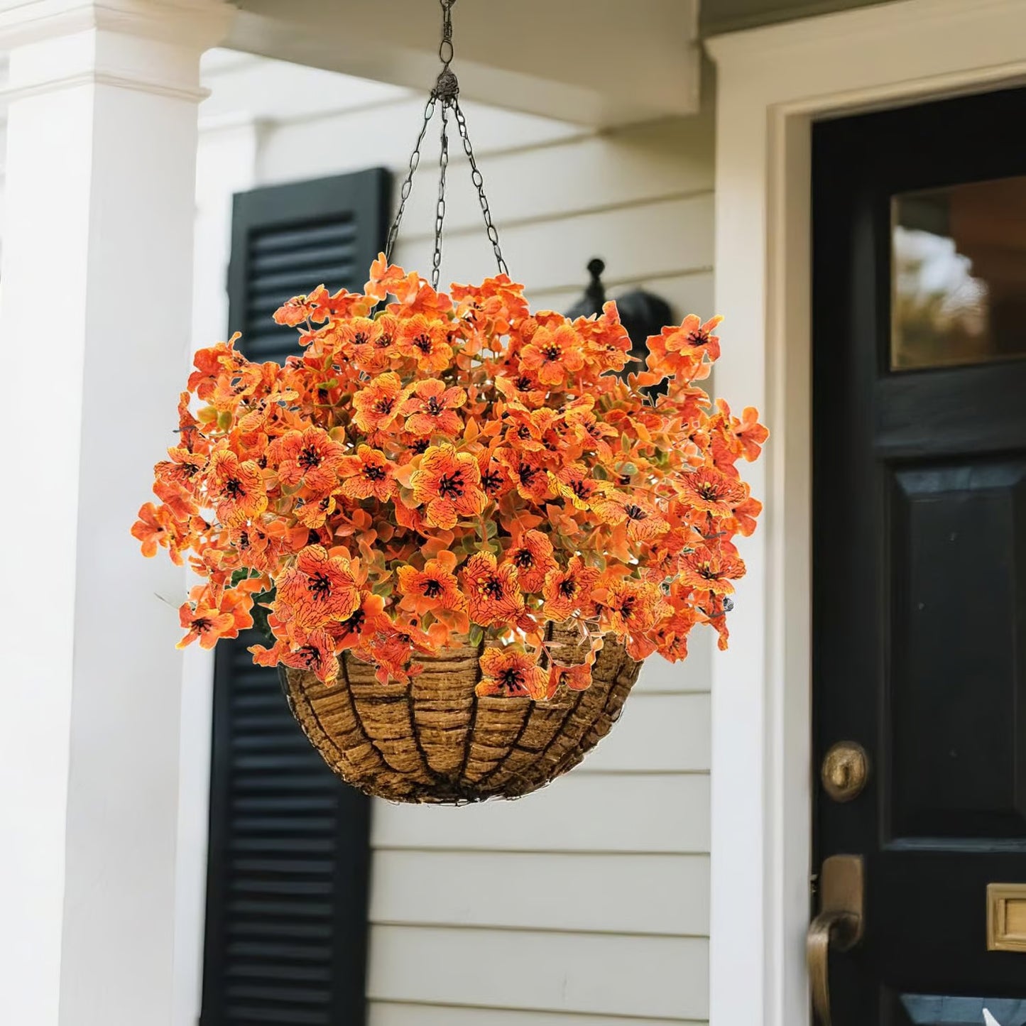 SunsetGlow Outdoor Mums - 1 + 1 FREE