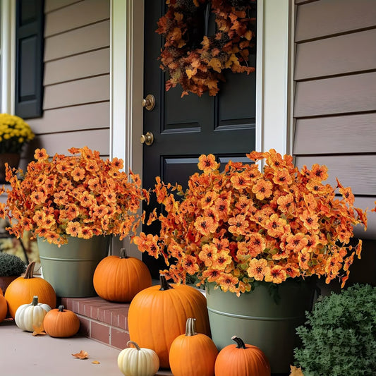 SunsetGlow Outdoor Mums - 1 + 1 FREE