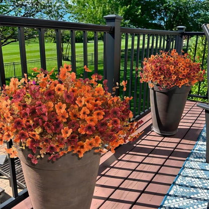 AutumnGlow Mums- 50 % OFF