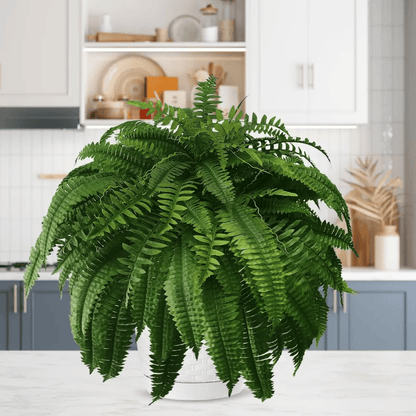 EverLush Fern Decor- 50 % OFF