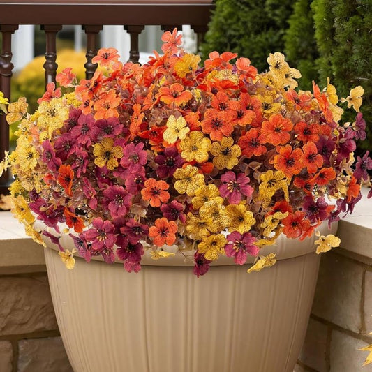 AutumnGlow Mums- 50 % OFF