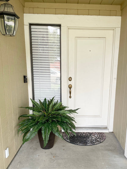 EverLush Fern Decor- 50 % OFF