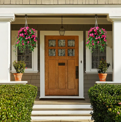EverBloom Petunias- 50 % OFF