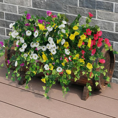 EverBloom Petunias- 50 % OFF