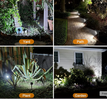 SunSculpt Spotlight- 50 % OFF