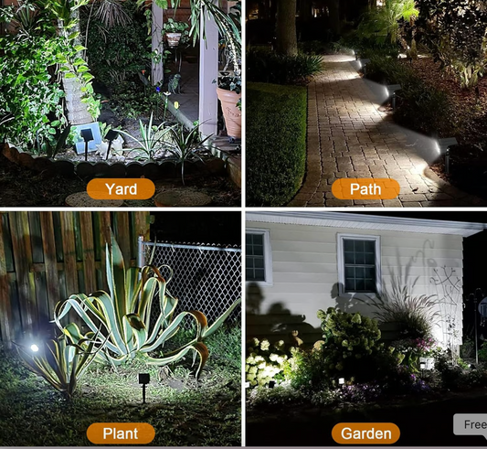 SunSculpt Spotlight- 50 % OFF