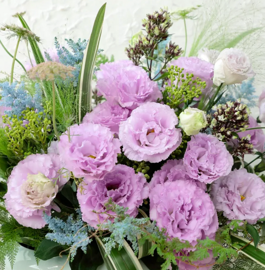 EverBloom Eustoma Seeds - 50 % OFF