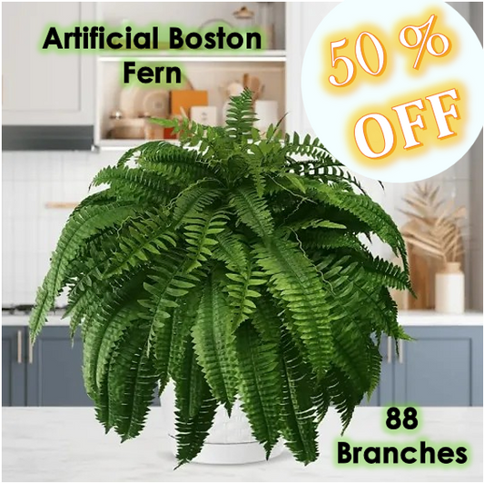 The EverFresh Boston Fern - Lush Beauty That Lasts Forever + 50% OFF