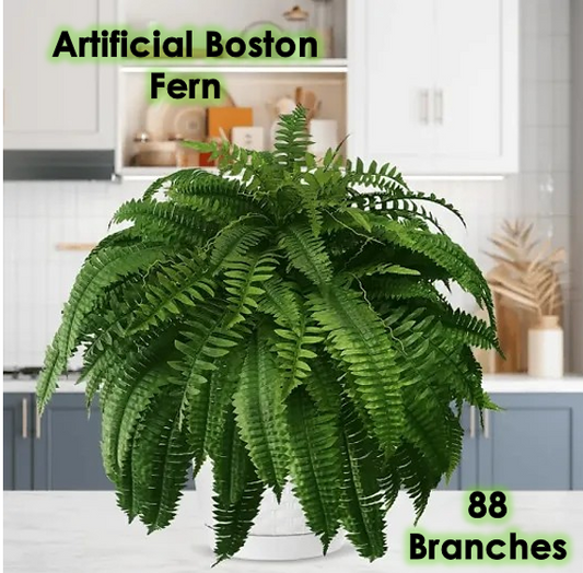 The EverFresh Boston Fern - Lush Beauty That Lasts Forever + 50% OFF