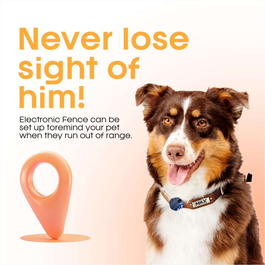 SafeLock Shield – Protect Your Valuables Instantly + 50% OFF