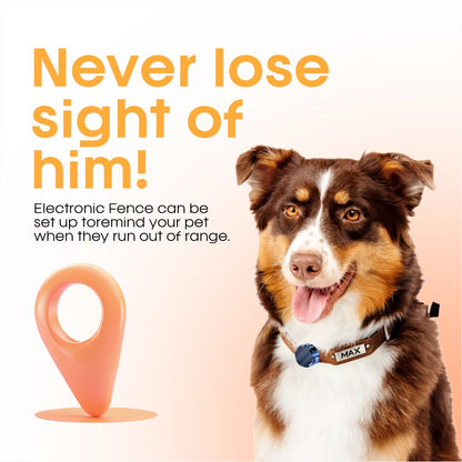 SafeLock Shield – Protect Your Valuables Instantly + 50% OFF