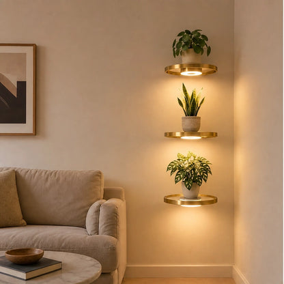 Glowsill – Floating Plant Shelf with Warm LED Uplight, Cordless & Rechargeable + 50% OFF