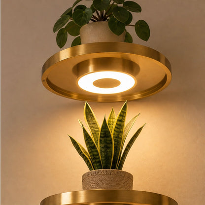 Glowsill – Floating Plant Shelf with Warm LED Uplight, Cordless & Rechargeable + 50% OFF