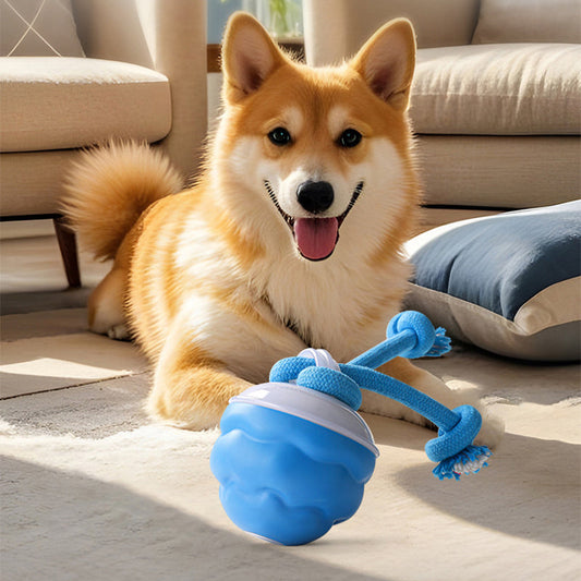 The AuraBounce Interactive Pet Ball - Smart, Automatic, and Teeth-Grinding Fun + 50% OFF