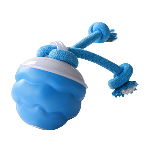 The AuraBounce Interactive Pet Ball - Smart, Automatic, and Teeth-Grinding Fun + 50% OFF